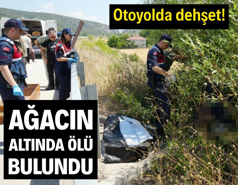 Otoyolda dehşet! Ağacın altında ölü bulundu
