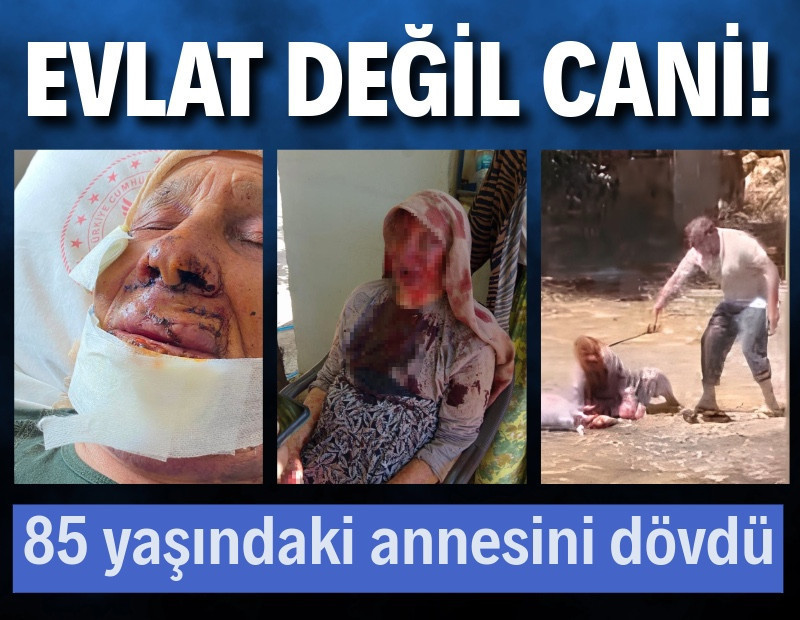 Evlat dehşeti: 85 yaşındaki annesini bahçede sopayla dövdü