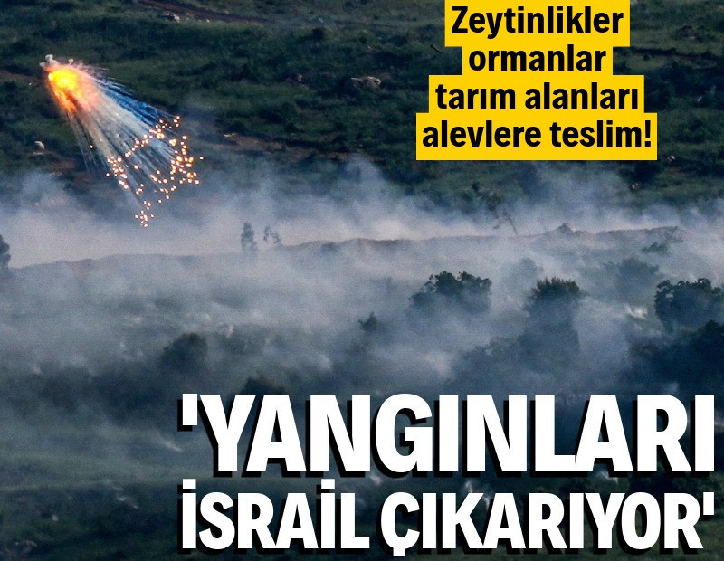 Zeytinlikler, ormanlar alevlere teslim: 'Yangınları İsrail çıkarıyor'
