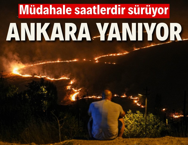 Ankara'da ağaçlık alanda yangın