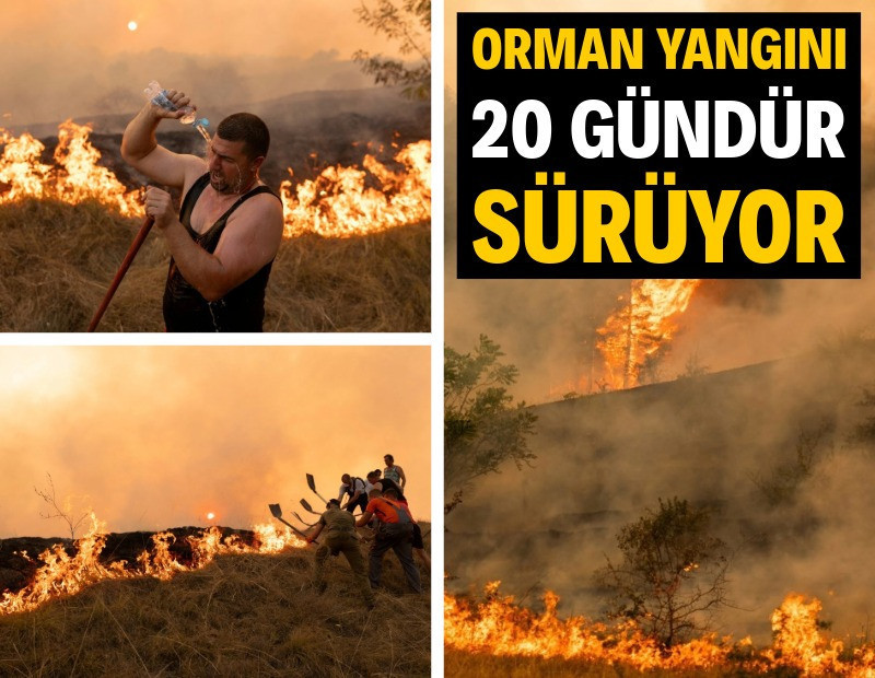 Orman yangını 20 gündür sürüyor