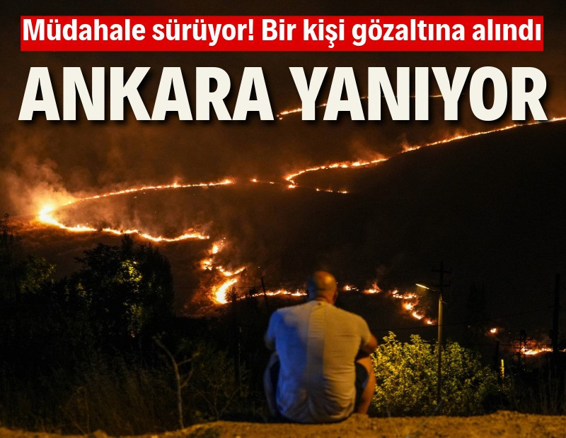 Ankara'da ağaçlık alanda yangın