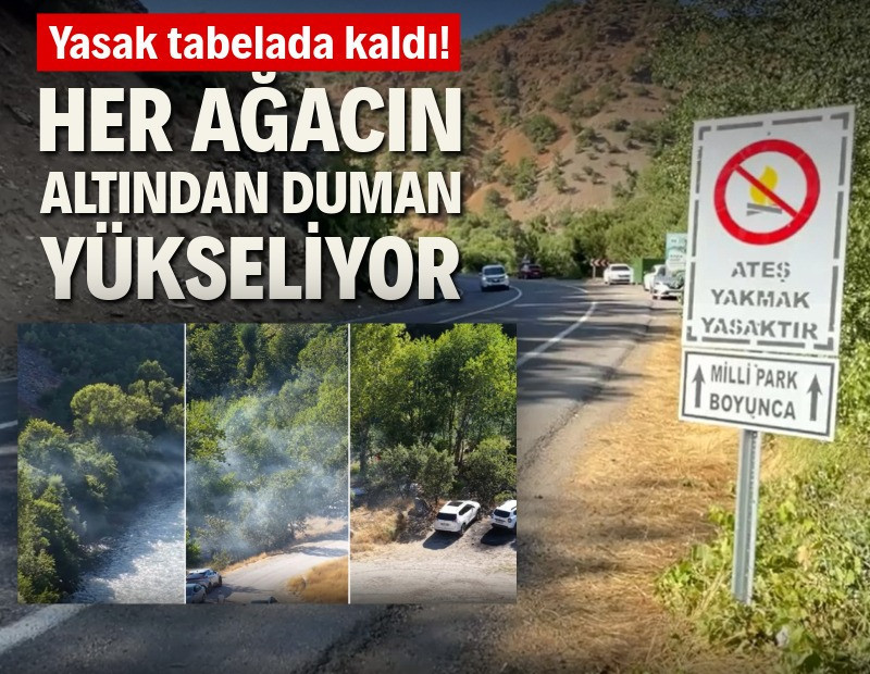 Yasak tabelada kaldı! Her ağacın altından duman yükseliyor