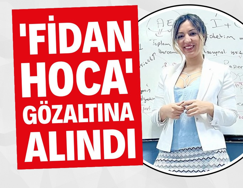 Fidan Atalay gözaltına alındı