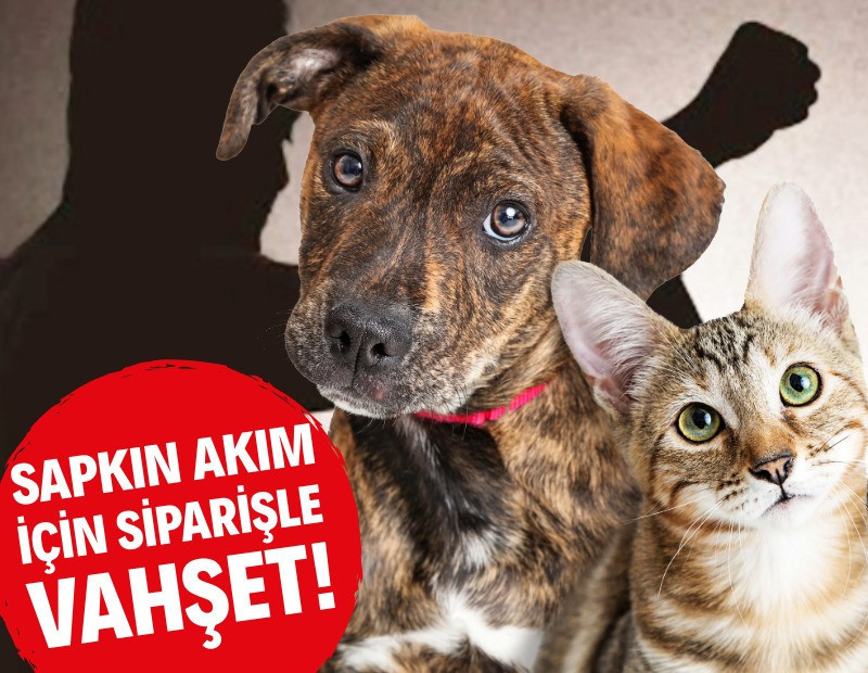 Büyüyen tehdit canilik akımı!