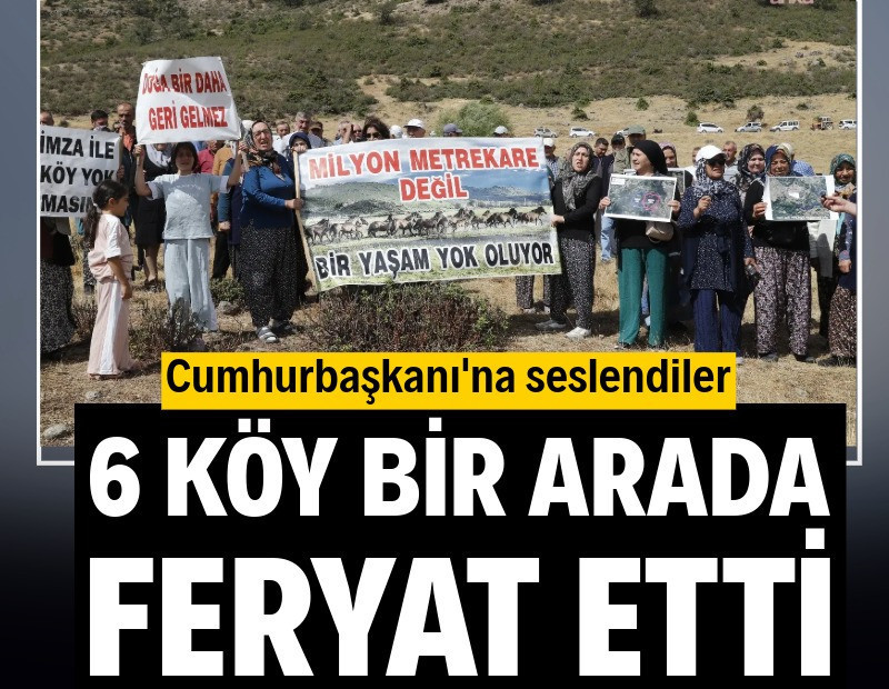 6 köy bir arada feryat etti! Cumhurbaşkanı'na seslendiler