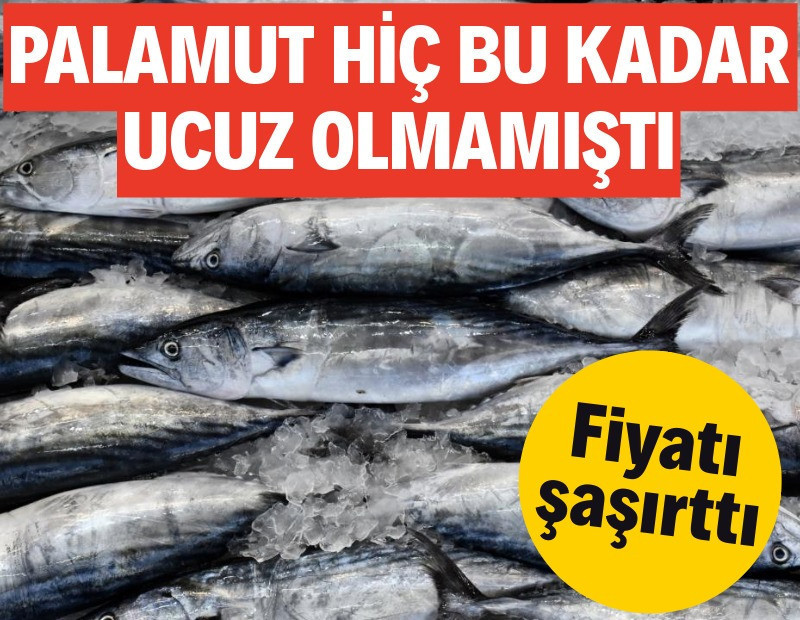 Palamut hiç bu kadar ucuz olmamıştı: Fiyatı şaşırttı