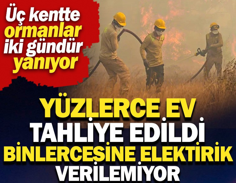 Antalya, Adana ve Mersin'de orman yangınları sürüyor