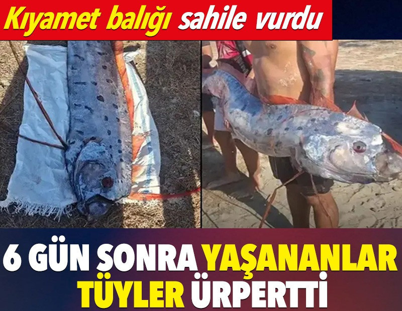 Kıyamet balığı sahile vurdu: 6 gün sonra yaşananlar tüyler ürpertti