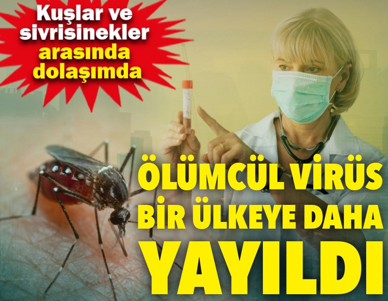 Ölümcül virüs bir ülkeye daha yayıldı