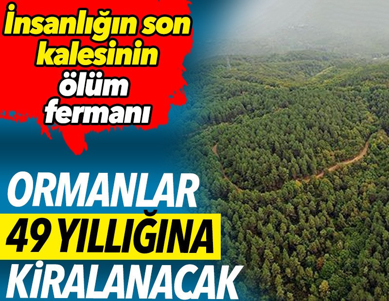 Ormanlar 49 yıllığına kiralanacak. Ormanların ölüm fermanı ortaya çıktı