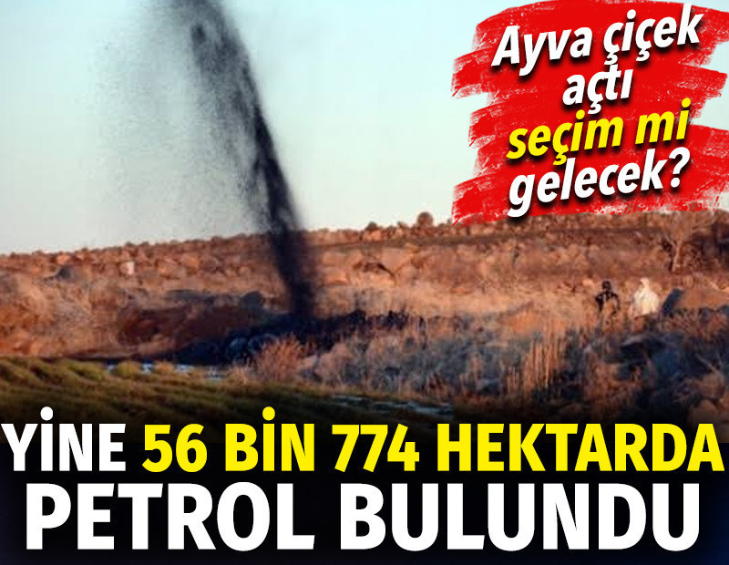 Yine 56 bin 774 hektarda petrol bulundu. Seçim mi gelecek?