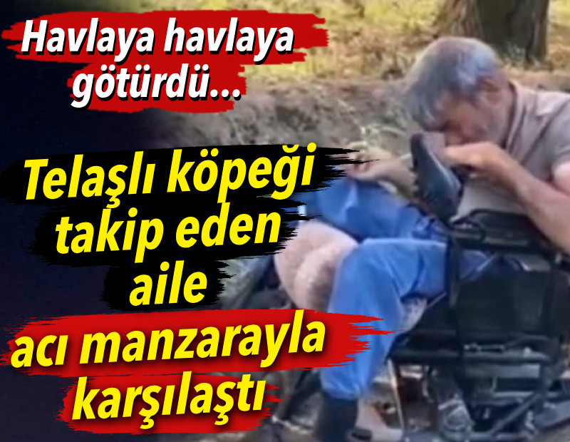 Telaşlı köpeği takip eden aile acı manzarayla karşılaştı