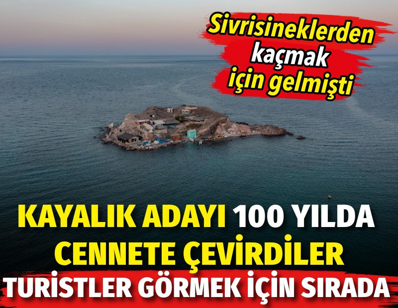 Sivrisineklerden kaçmak için gelmişti. Kayalık adayı 100 yılda cennete çevirdiler. Turistler görmek için sırada