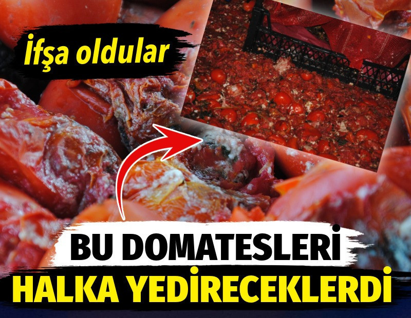 Bu domatesleri halka yedireceklerdi. İfşa oldular