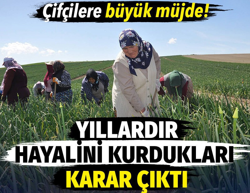 Çiftçilere büyük müjde! Yıllardır hayalini kurdukları karar çıktı
