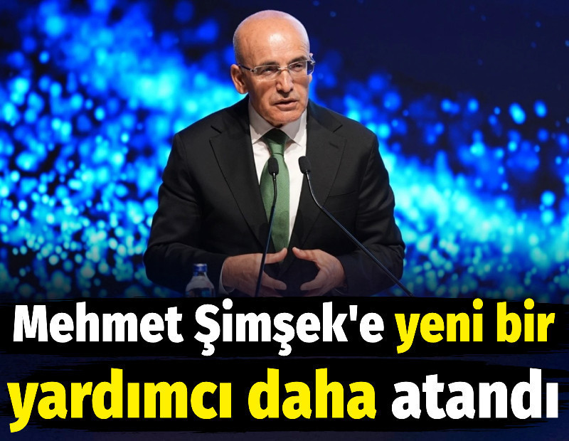 Mehmet Şimşek'e yeni bir yardımcı daha atandı