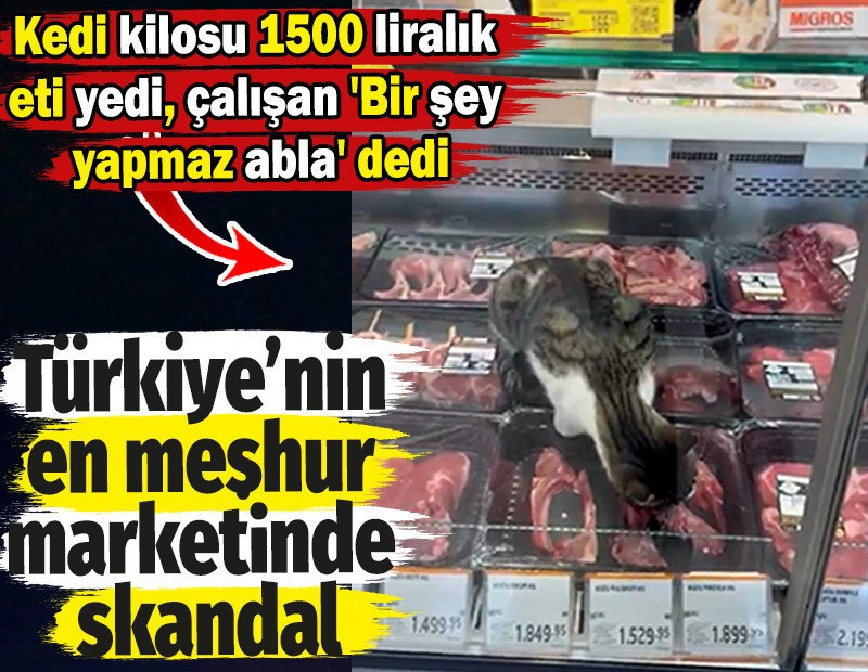 Türkiye’nin en meşhur marketinde skandal! Kedi kilosu 1500 liralık eti yedi, çalışan 'Bir şey yapmaz abla' dedi