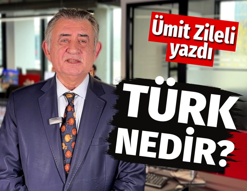 Türk nedir?