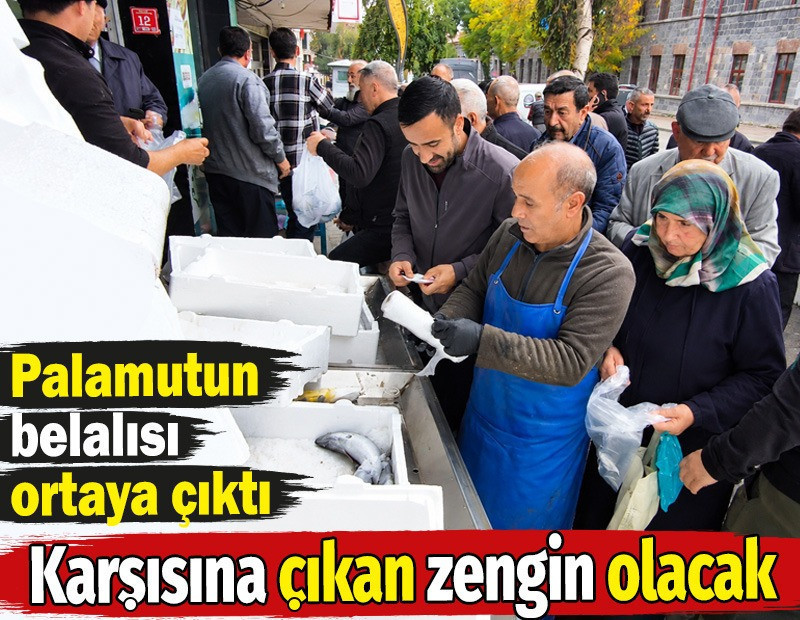 Palamutun belalısı ortaya ortaya çıktı. Karşısına çıkan zengin olacak