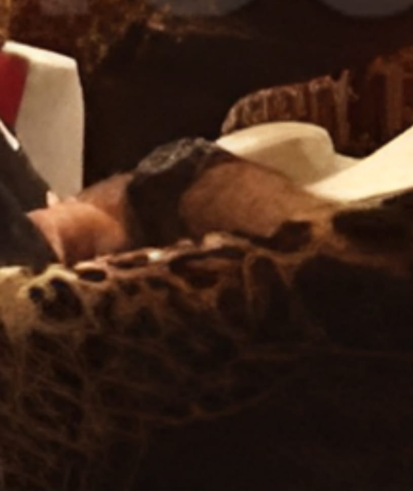 Epstein dosyasındaki Prens Andrew fotoğrafında şaşkına çeviren detay - Resim : 1