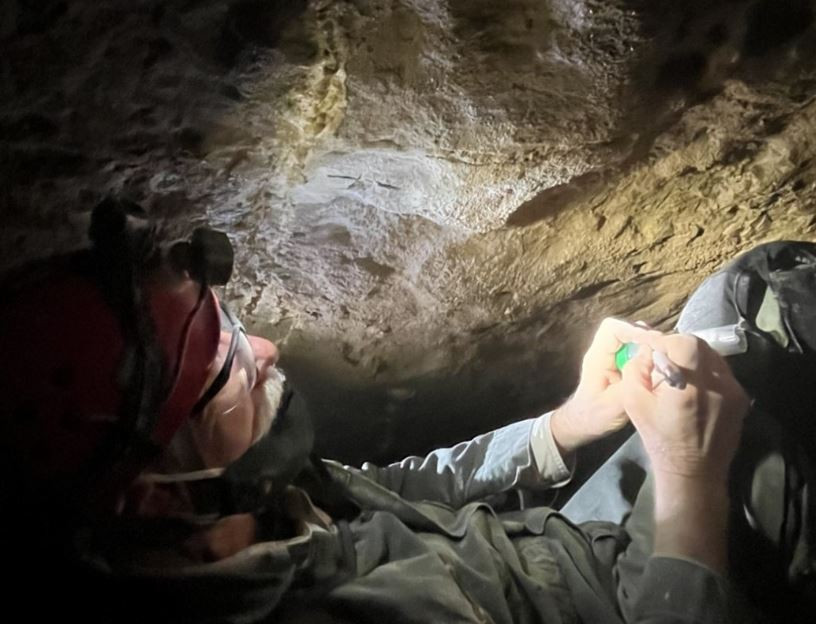 Dünyanın en büyük mağara sisteminde 340 milyon yıllık köpek balığı fosili bulundu - Resim : 2