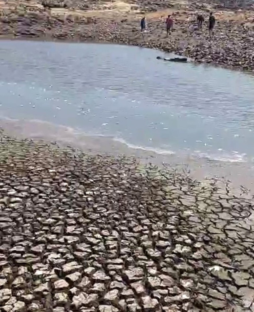 Sular çekildi, balıklar telef oldu - Resim : 1