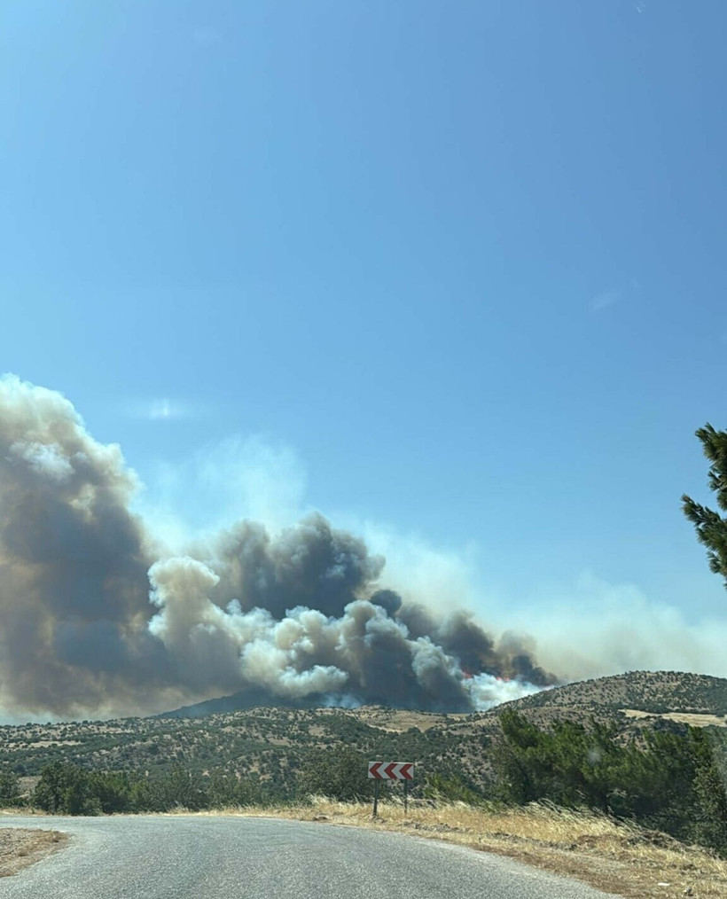 Çanakkale'deki büyük yangından kahreden fotoğraflar - Resim: 1