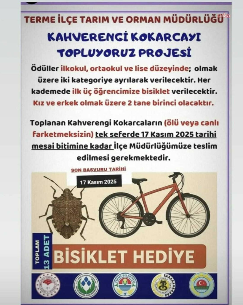 İlçe tarım çocukları sahaya sürdü: Ölü veya diri fark etmez, getirin - Resim : 1