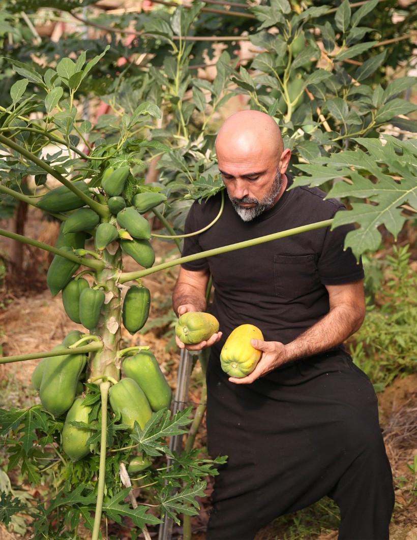 Mango ve avokado gibi değil: Alanya'da üretiyor, taleplere yetişemiyor - Resim: 4