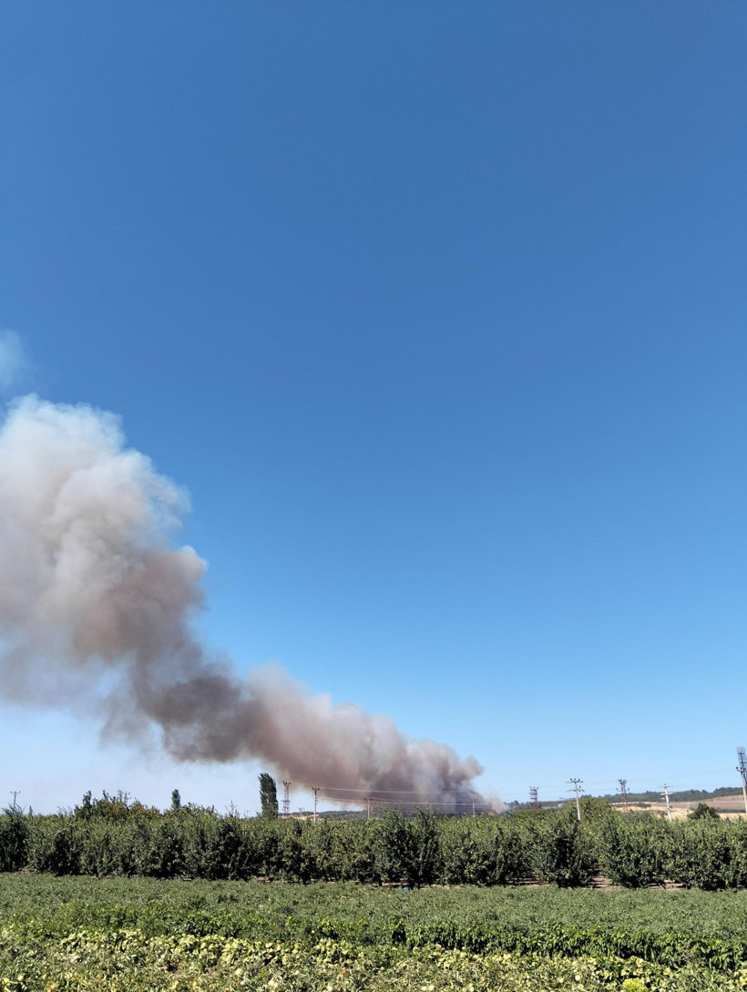 Çanakkale yine alevlere teslim: Yangın ormana sıçradı - Resim: 5