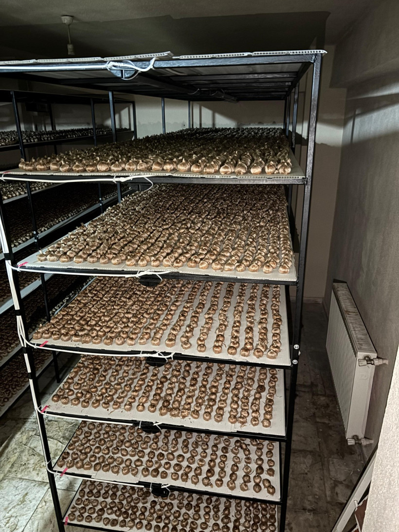 Mali müşavirliği bırakıp üretime başladı: Gramı 700 TL - Resim : 2