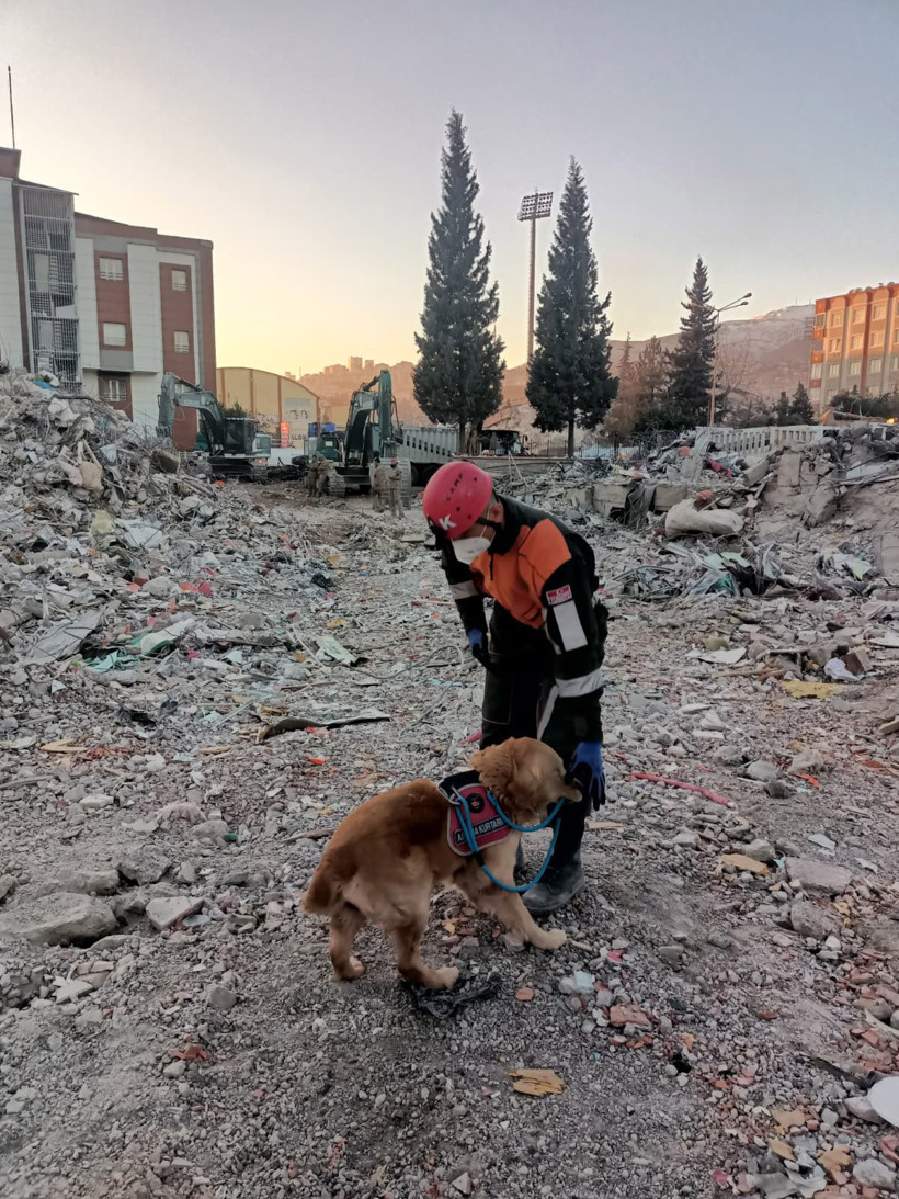 48 cana hayat patisi uzattı, emekli oldu - Resim : 1