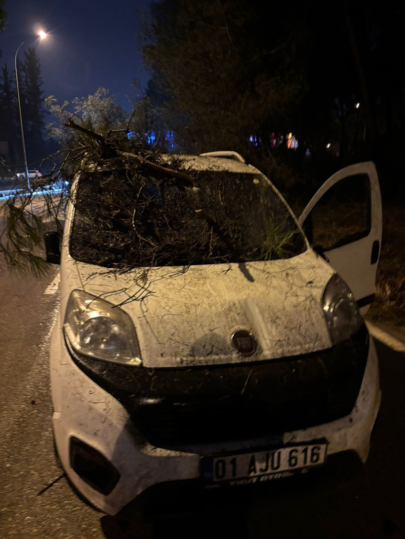 Devrilen ağacın dalları, seyir halindeki aracın ön camına saplandı - Resim: 1