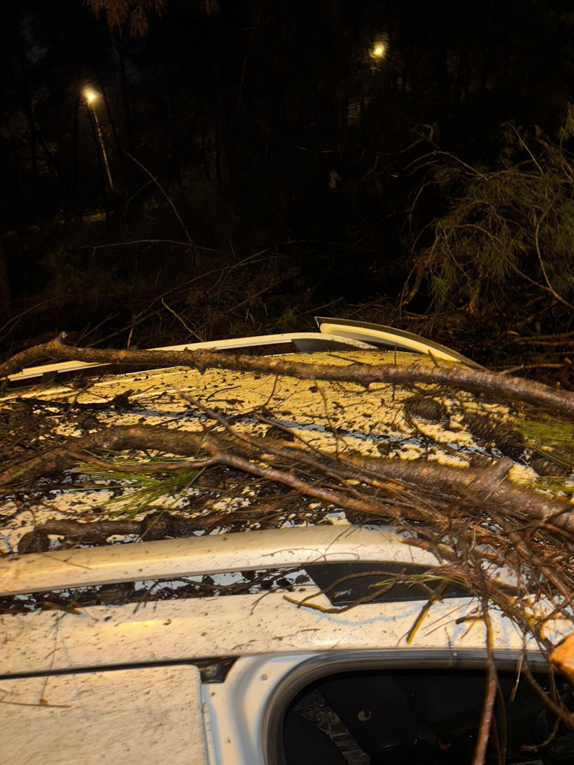Devrilen ağacın dalları, seyir halindeki aracın ön camına saplandı - Resim: 4