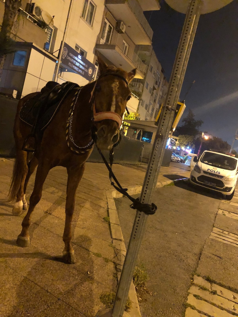 Atla giderken 'alkollü araç kullanmak'tan ceza yedi - Resim : 3