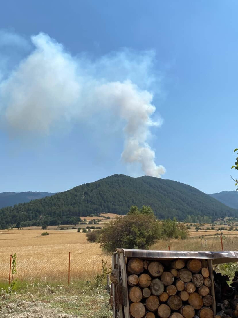 Çankırı'da orman yangını - Resim : 1