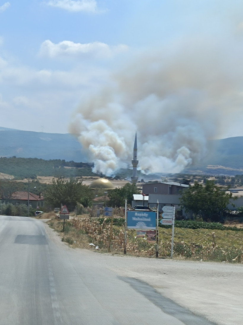 Bursa'da orman yangını - Resim : 1