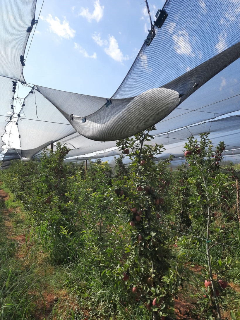 Bir gecede olanlar oldu: Toplam zarar 107 milyon TL - Resim : 2