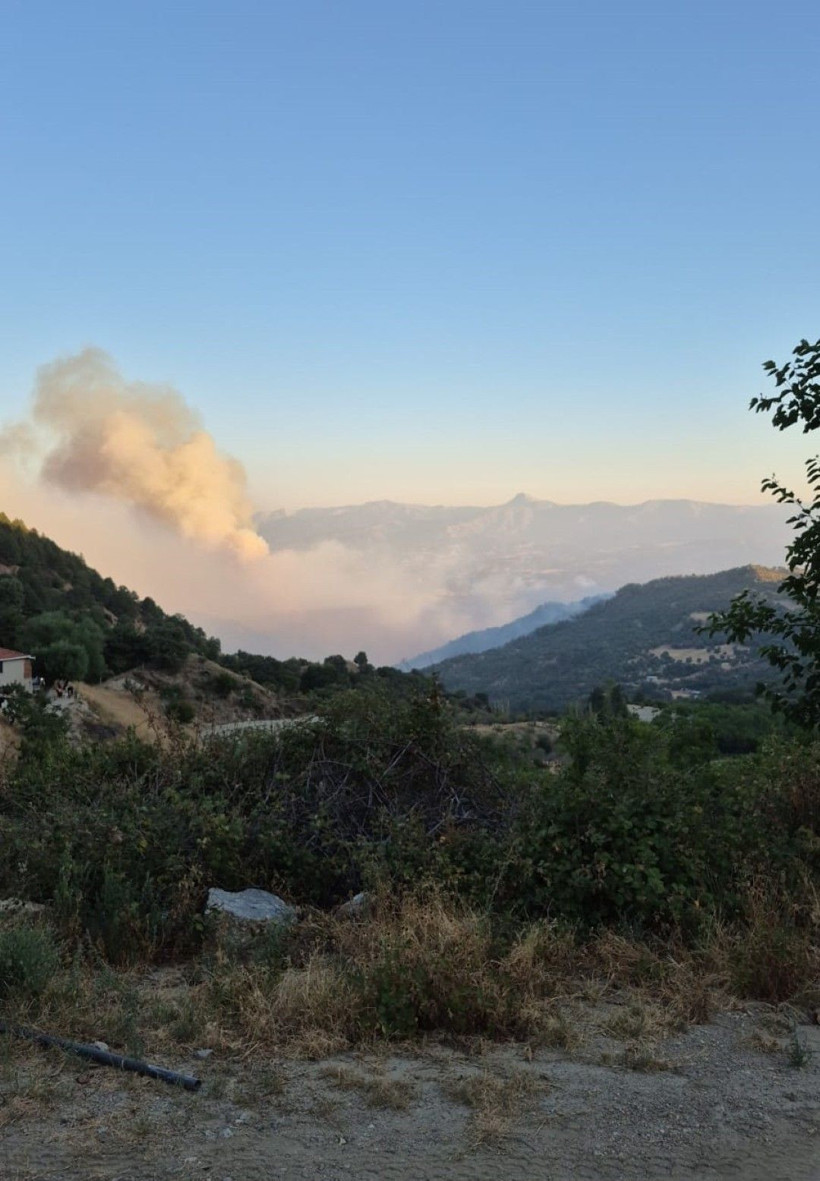Denizli'de başladı, Aydın'a sıçradı: Üç gündür yanıyor - Resim: 2