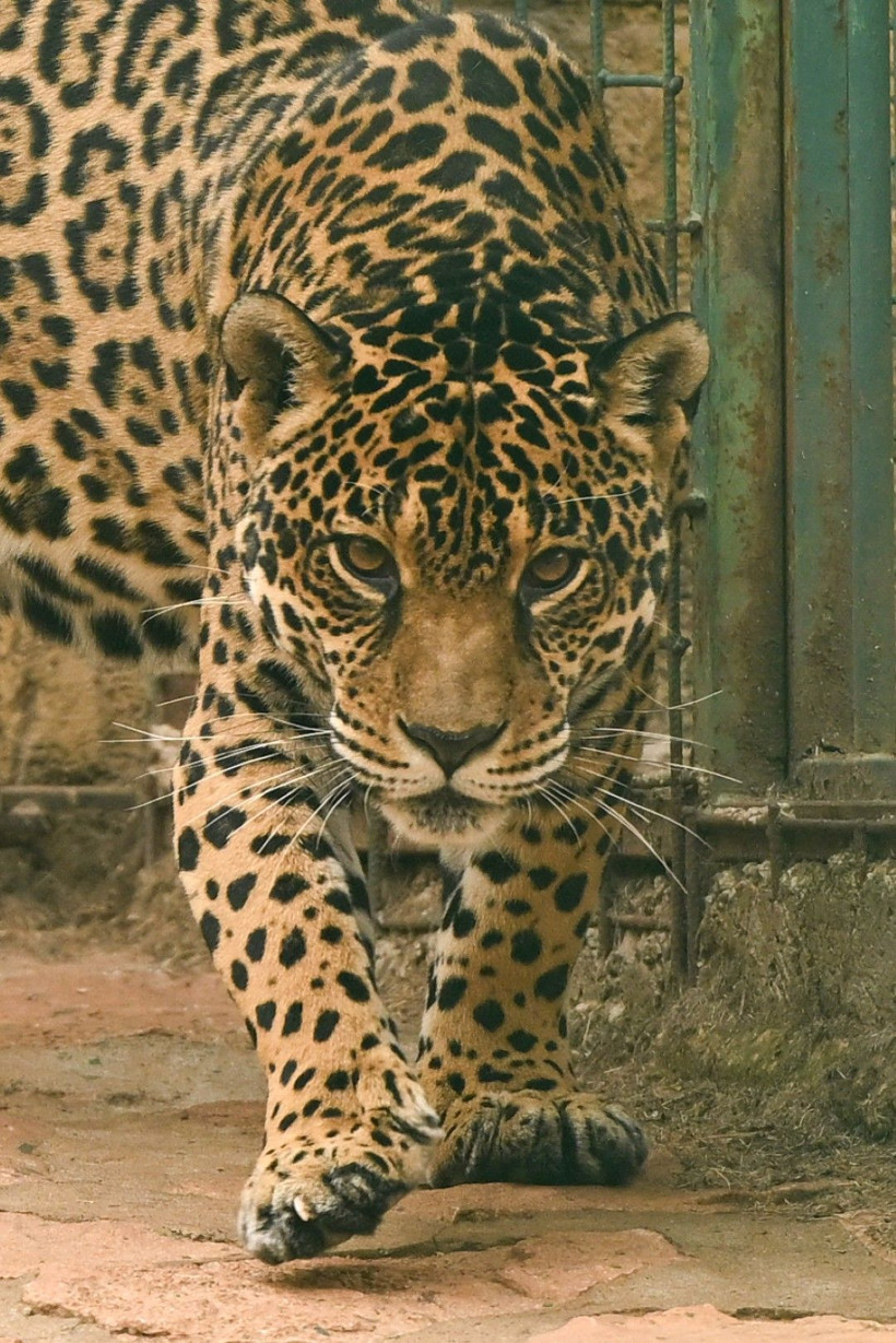 9 günde 300 binden fazla kişi akın etti - Resim: 13