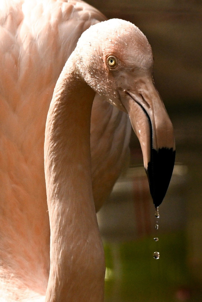 9 günde 300 binden fazla kişi akın etti - Resim: 23