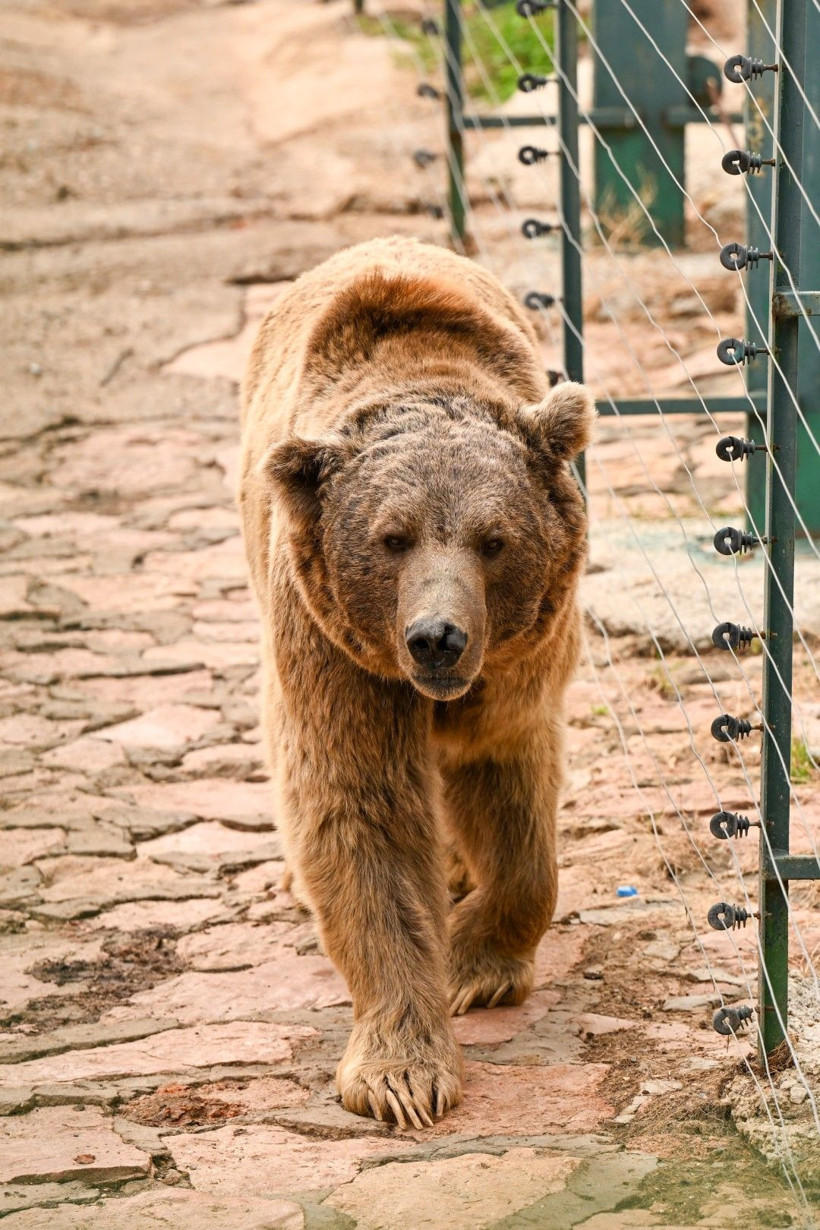 9 günde 300 binden fazla kişi akın etti - Resim: 7