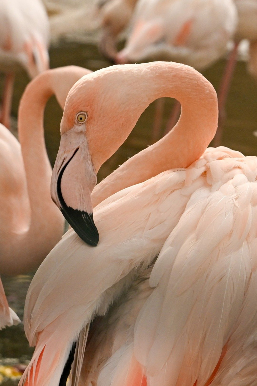 9 günde 300 binden fazla kişi akın etti - Resim: 20