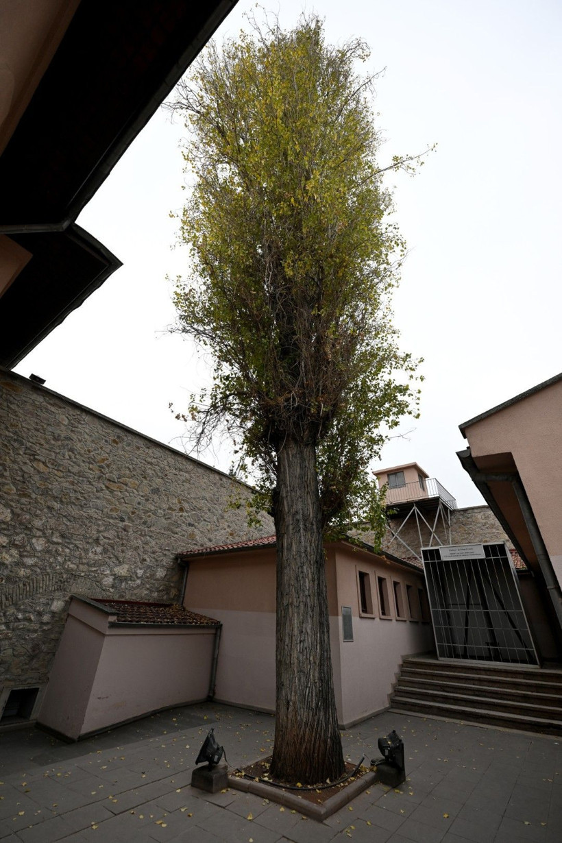 İdamların tanığı 100 yaşında: 'Bu ağacın ağladığını söylerler' - Resim: 14