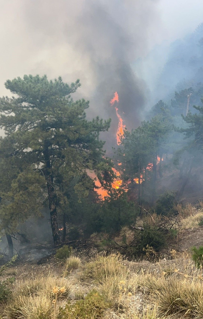 Denizli'de başladı, Aydın'a sıçradı: Üç gündür yanıyor - Resim: 5