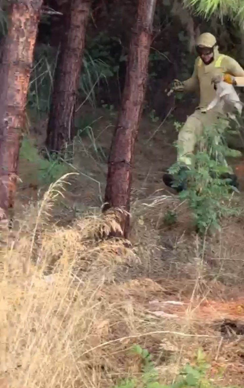 Çanakkale yine yanıyor: Binlerce kişi tahliye edildi - Resim: 41