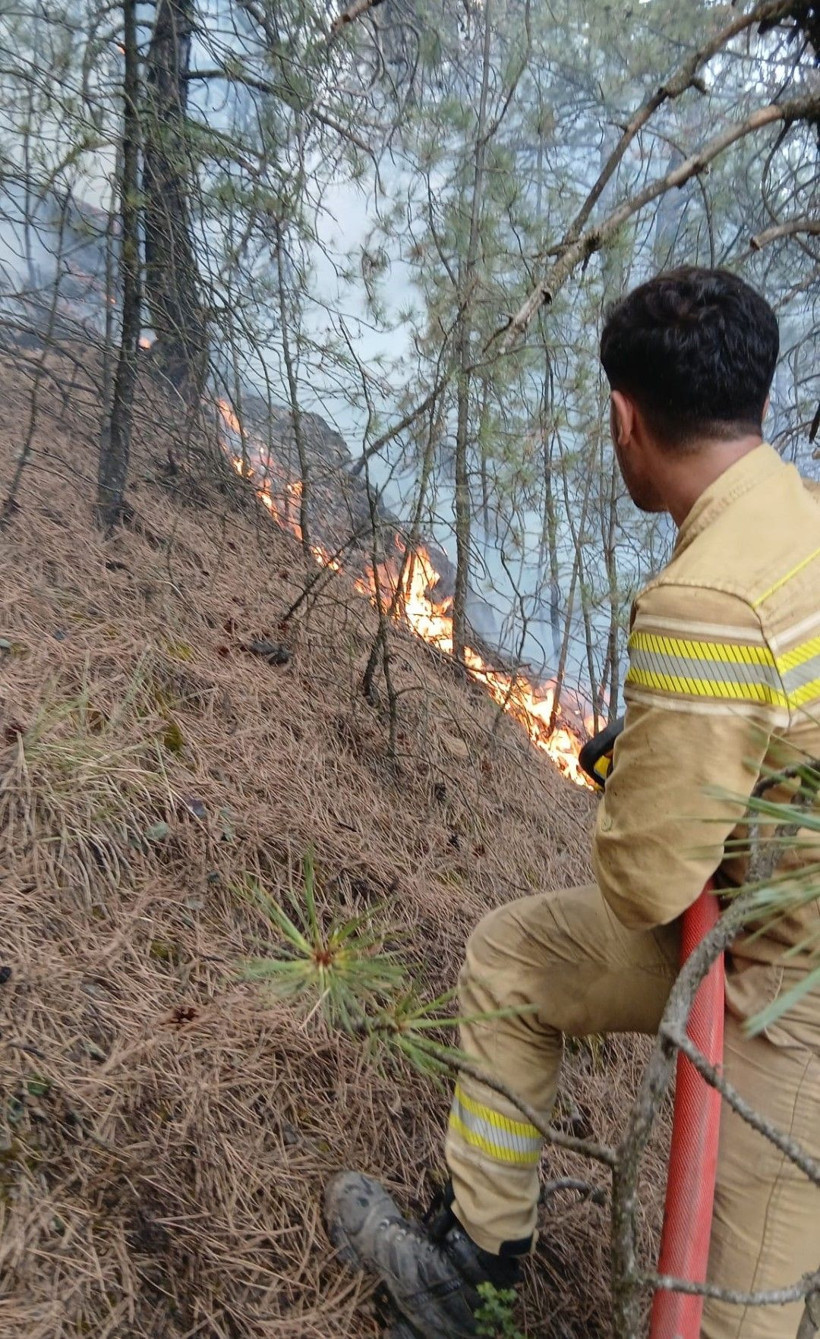 Denizli'de başladı, Aydın'a sıçradı: Üç gündür yanıyor - Resim: 3