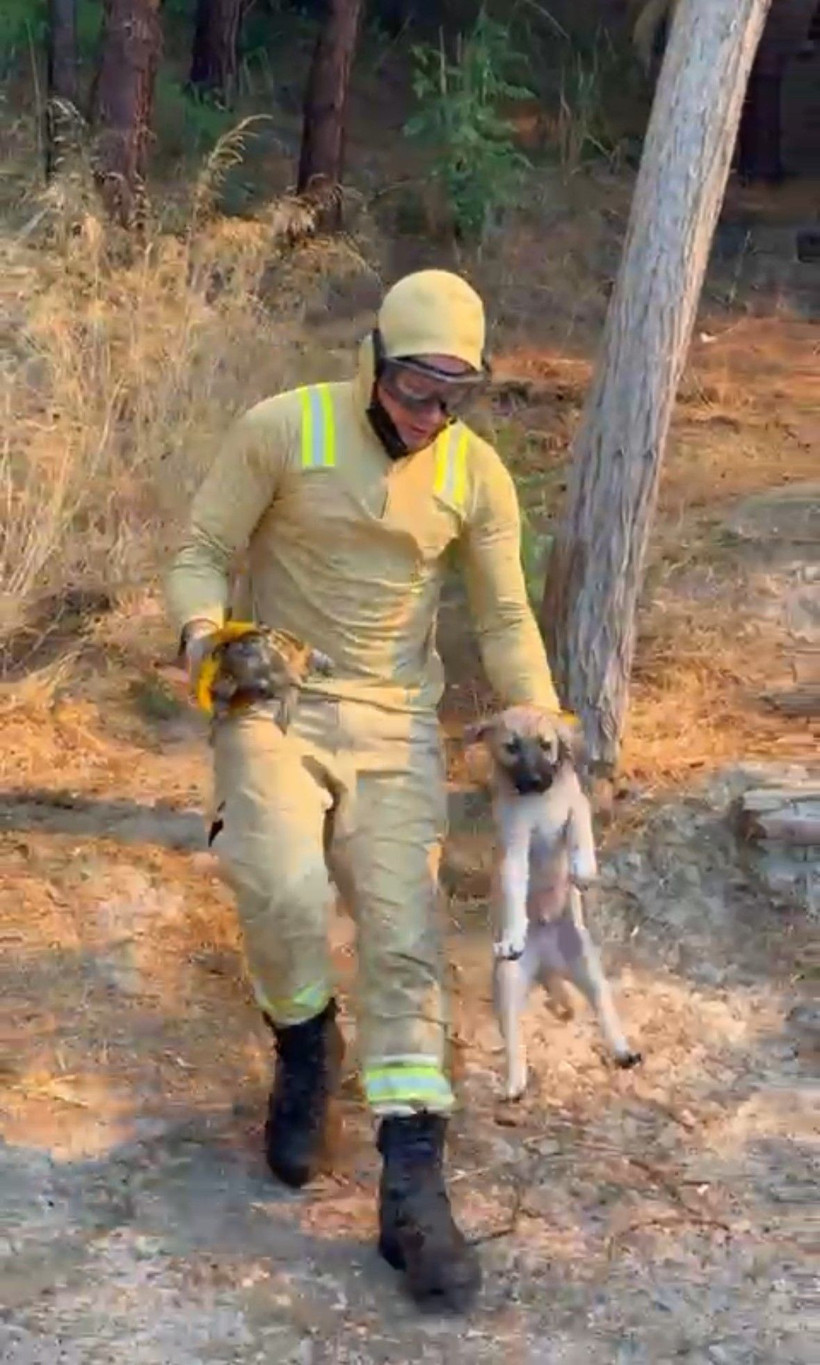 Çanakkale yine yanıyor: Binlerce kişi tahliye edildi - Resim: 42