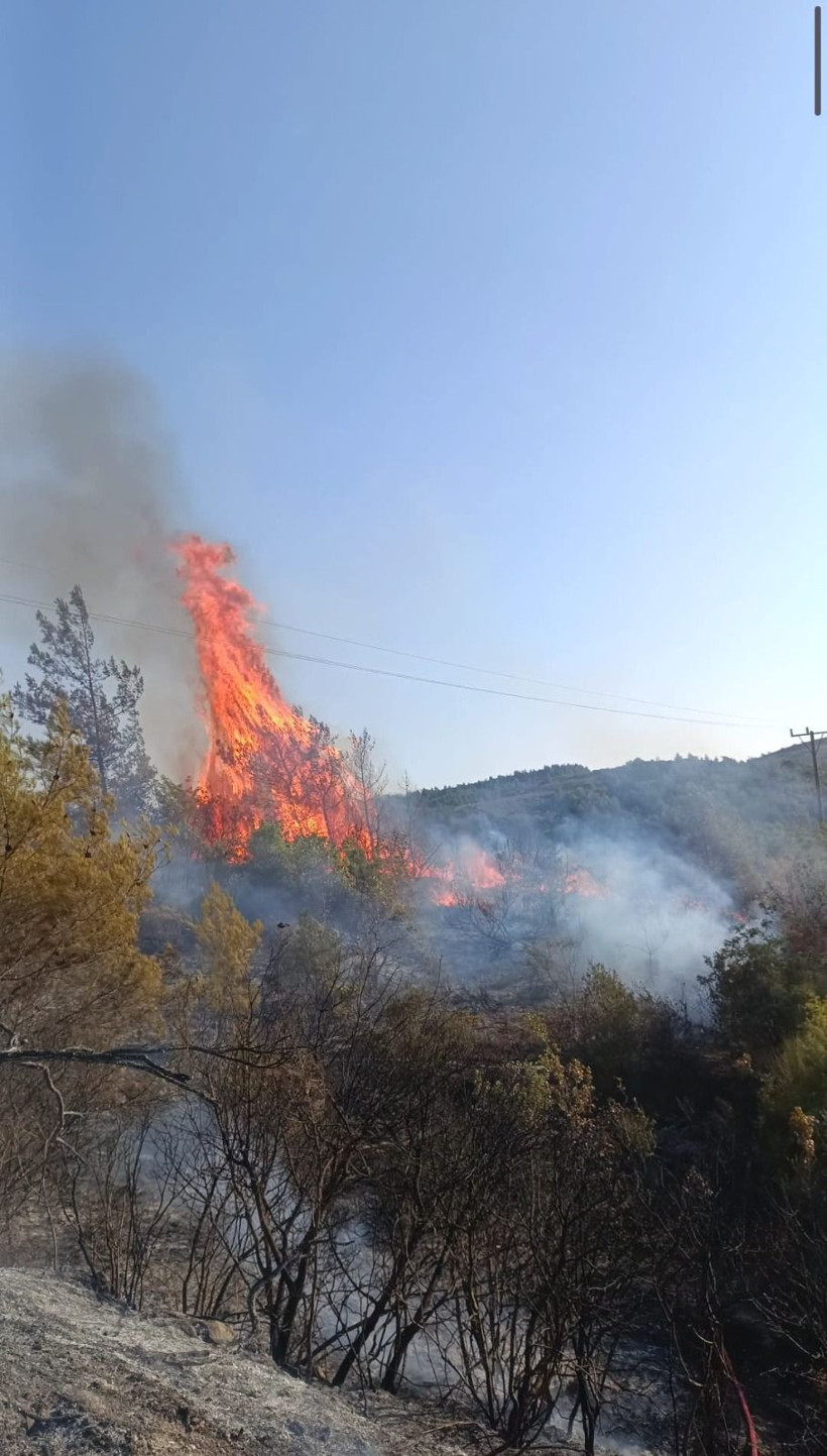 Bir orman yangını da Hatay'da - Resim: 4